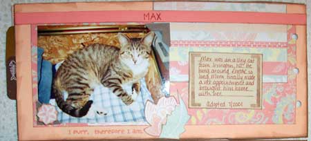 adoption cat mini book inner pages