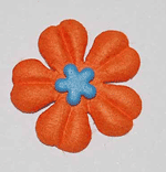 prima flower with brad center